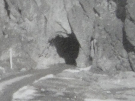 DSC07498 - �R�s�[.jpg